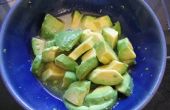 Avocado mit Agave und Limette
