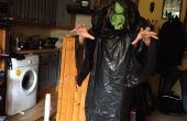 Billig, schnell und einfach böse Hexe Halloween-Kostüm