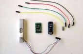 Arduino Nano und Visuino: Gewicht mit HX711 Load Cell Verstärker und ADC messen