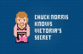 Chuck Norris und einer Victorias Secret - kostenlose Kreuzstichmuster PDF-