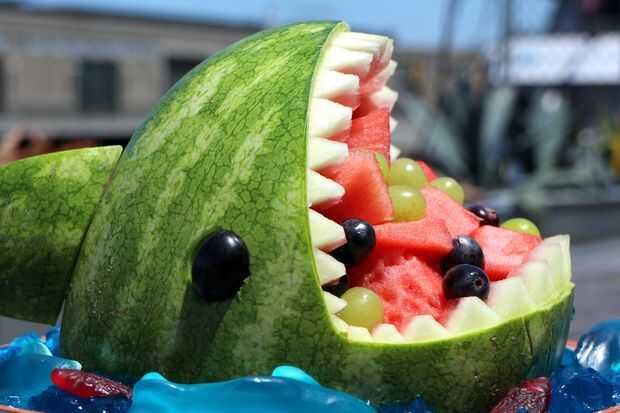 Wassermelone Hai - genstr.com